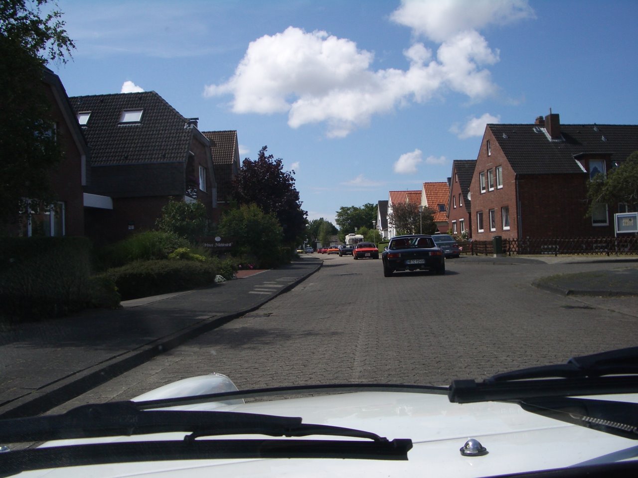 IMGP3161